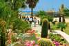 Magic Life Manar Imperial 